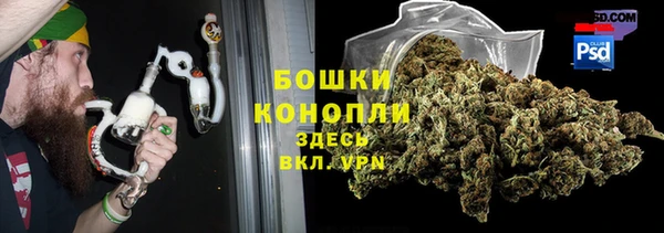 дурь Белокуриха