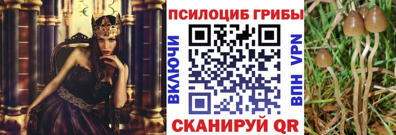 Галлюциногенные грибы Psilocybine cubensis  дарнет шоп  Фрязино 