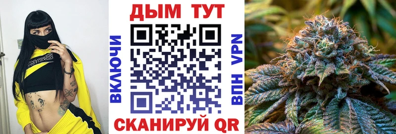 Конопля MAZAR  mega вход  Фрязино 